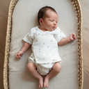 Primera puesta verano Birds