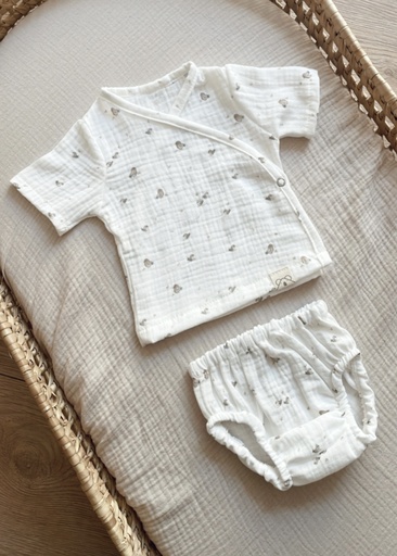 Primera puesta verano Birds