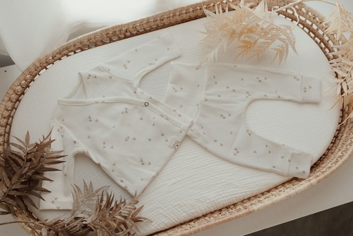 [09BS3902-T1] Primera puesta Corazones